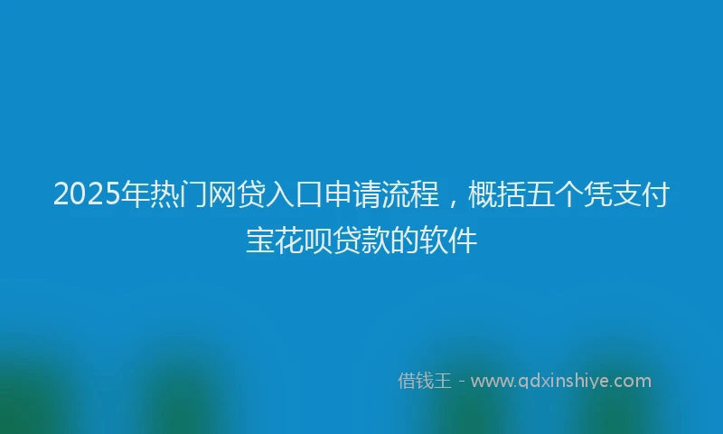 2025年热门网贷入口申请流程，概括五个凭支付宝花呗贷款的软件