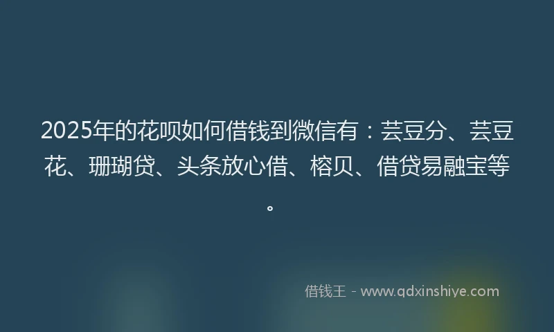 2025年的花呗如何借钱到微信有：芸豆分、芸豆花、珊瑚贷、头条放心借、榕贝、借贷易融宝等。