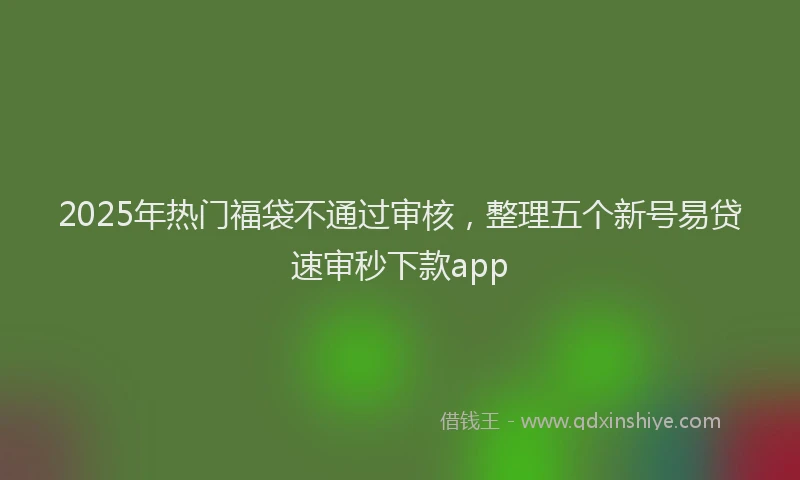 2025年热门福袋不通过审核，整理五个新号易贷速审秒下款app