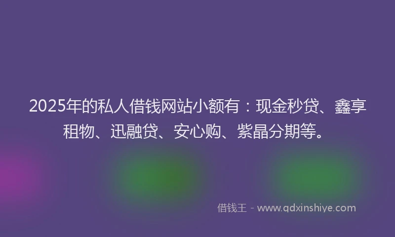 2025年的私人借钱网站小额有：现金秒贷、鑫享租物、迅融贷、安心购、紫晶分期等。