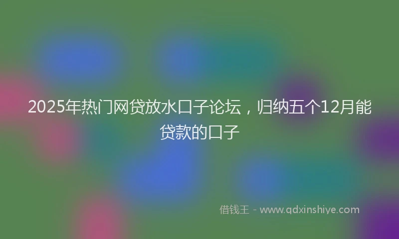 2025年热门网贷放水口子论坛，归纳五个12月能贷款的口子
