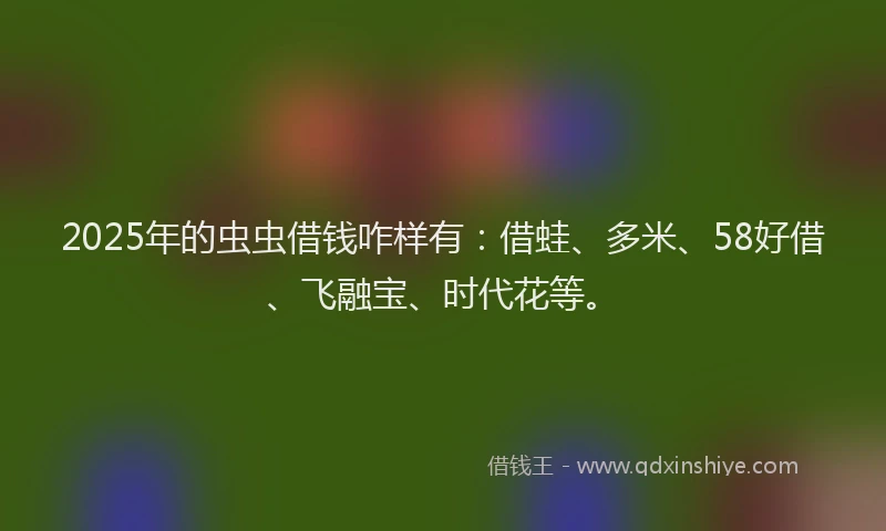 2025年的虫虫借钱咋样有：借蛙、多米、58好借、飞融宝、时代花等。
