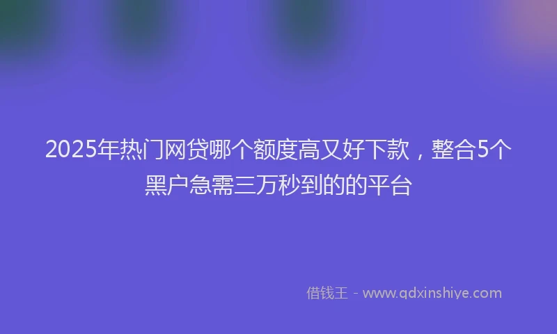 2025年热门网贷哪个额度高又好下款，整合5个黑户急需三万秒到的的平台