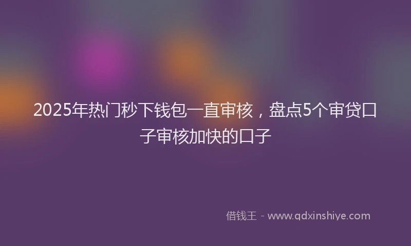 2025年热门秒下钱包一直审核，盘点5个审贷口子审核加快的口子