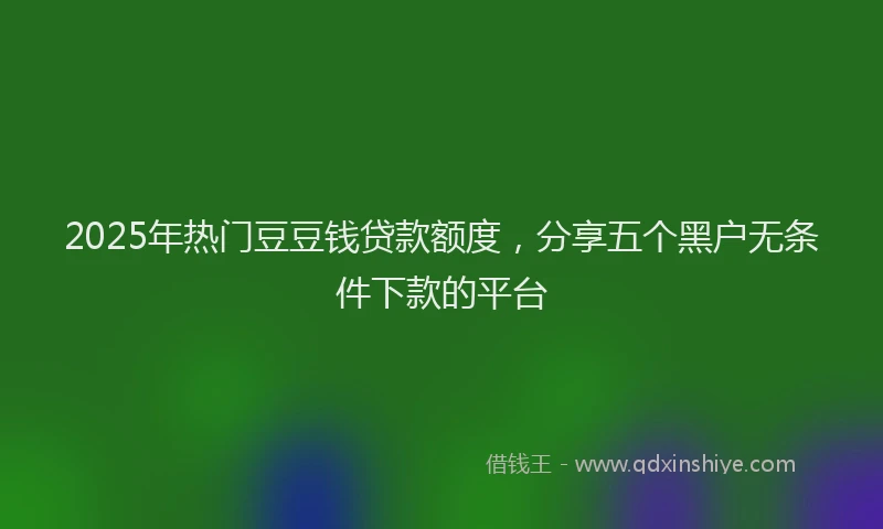 2025年热门豆豆钱贷款额度，分享五个黑户无条件下款的平台