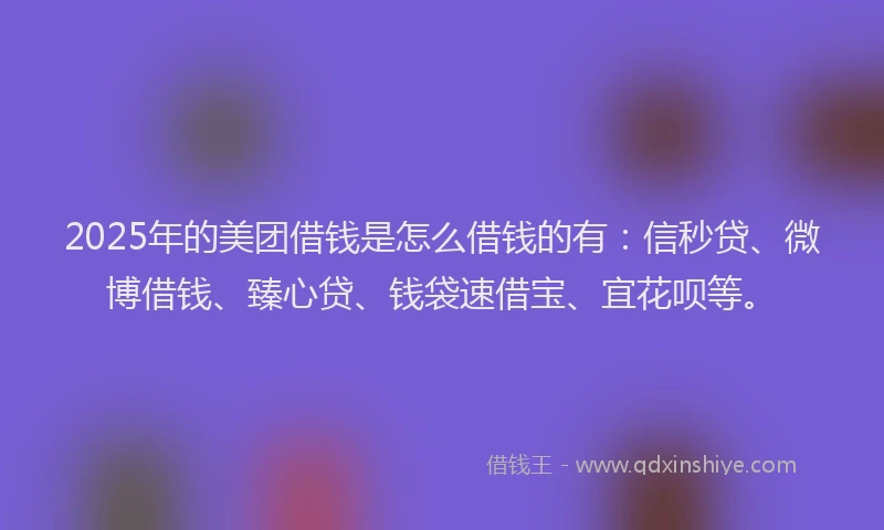 2025年的美团借钱是怎么借钱的有：信秒贷、微博借钱、臻心贷、钱袋速借宝、宜花呗等。
