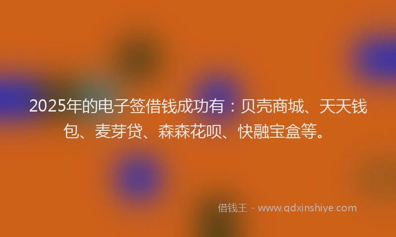 2025年的电子签借钱成功有：贝壳商城、天天钱包、麦芽贷、森森花呗、快融宝盒等。