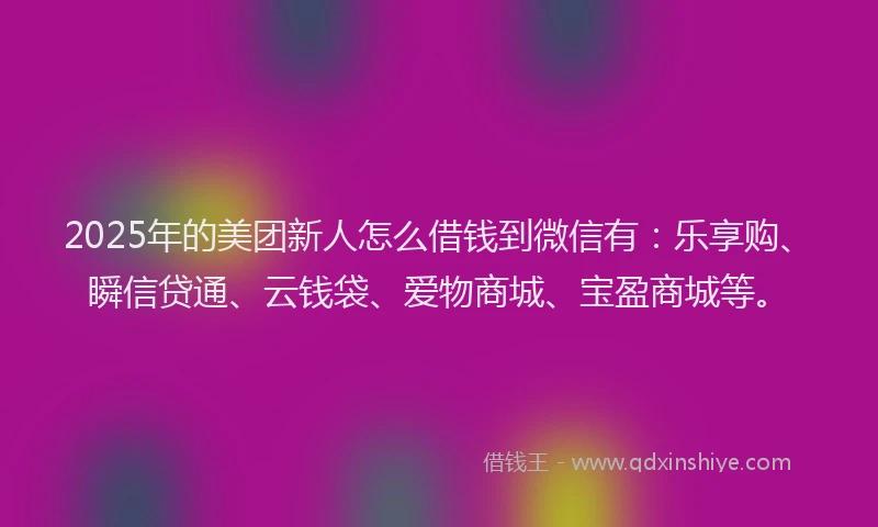2025年的美团新人怎么借钱到微信有：乐享购、瞬信贷通、云钱袋、爱物商城、宝盈商城等。