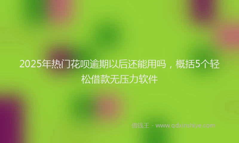 2025年热门花呗逾期以后还能用吗，概括5个轻松借款无压力软件