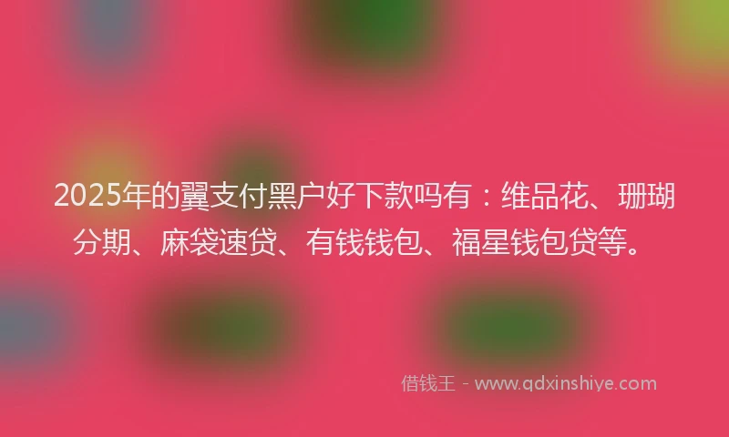 2025年的翼支付黑户好下款吗有：维品花、珊瑚分期、麻袋速贷、有钱钱包、福星钱包贷等。