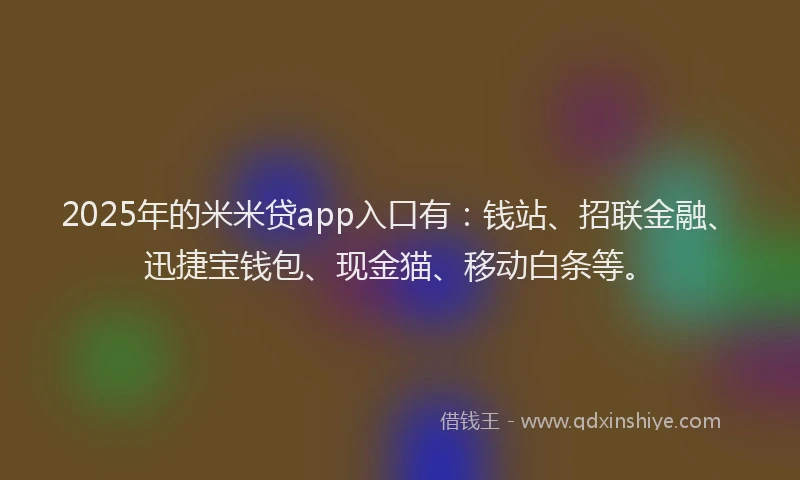 2025年的米米贷app入口有：钱站、招联金融、迅捷宝钱包、现金猫、移动白条等。