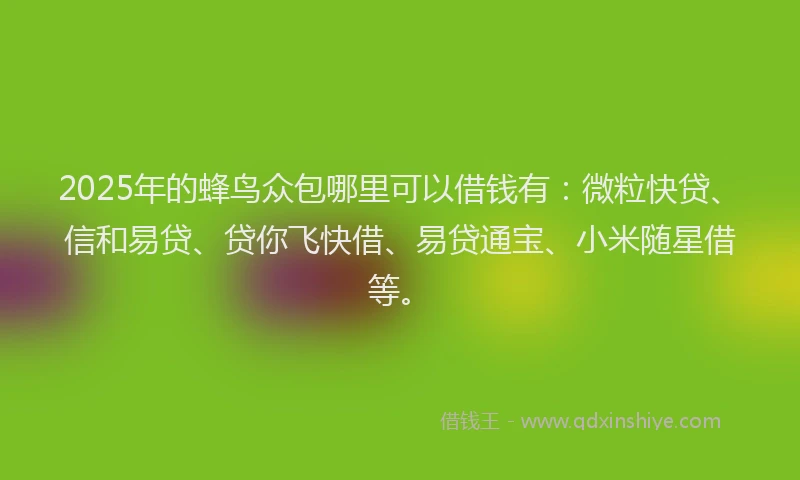 2025年的蜂鸟众包哪里可以借钱有：微粒快贷、信和易贷、贷你飞快借、易贷通宝、小米随星借等。