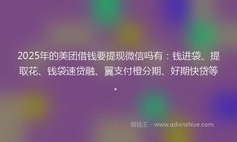 2025年的美团借钱要提现微信吗有：钱进袋、提取花、钱袋速贷融、翼支付橙分期、好期快贷等。