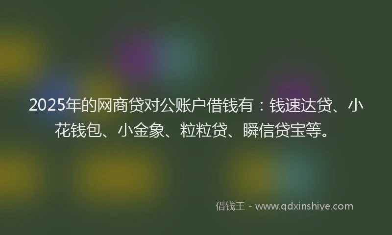 2025年的网商贷对公账户借钱有：钱速达贷、小花钱包、小金象、粒粒贷、瞬信贷宝等。