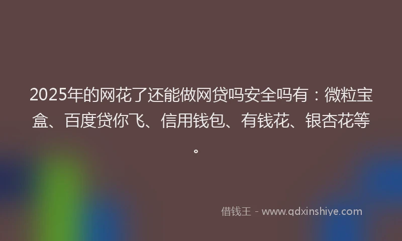 2025年的网花了还能做网贷吗安全吗有：微粒宝盒、百度贷你飞、信用钱包、有钱花、银杏花等。