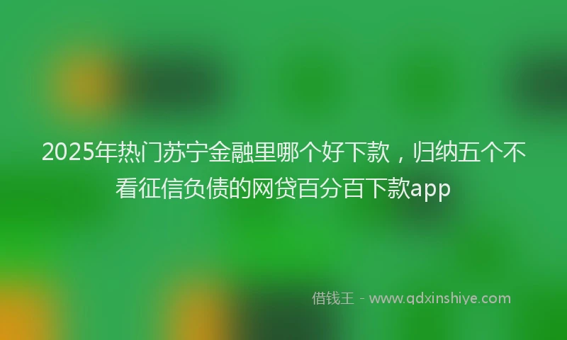 2025年热门苏宁金融里哪个好下款，归纳五个不看征信负债的网贷百分百下款app