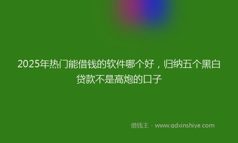 2025年热门能借钱的软件哪个好，归纳五个黑白贷款不是高炮的口子