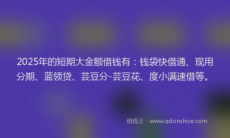2025年的短期大金额借钱有：钱袋快借通、现用分期、蓝领贷、芸豆分-芸豆花、度小满速借等。
