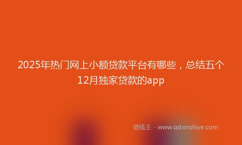 2025年热门网上小额贷款平台有哪些，总结五个12月独家贷款的app