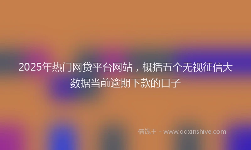 2025年热门网贷平台网站，概括五个无视征信大数据当前逾期下款的口子