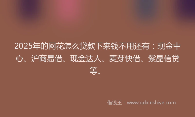 2025年的网花怎么贷款下来钱不用还有：现金中心、沪商易借、现金达人、麦芽快借、紫晶信贷等。