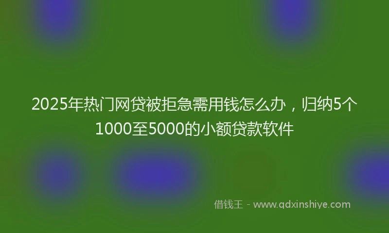 2025年热门网贷被拒急需用钱怎么办，归纳5个1000至5000的小额贷款软件