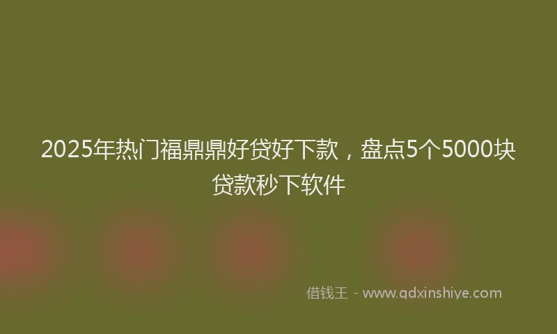2025年热门福鼎鼎好贷好下款，盘点5个5000块贷款秒下软件