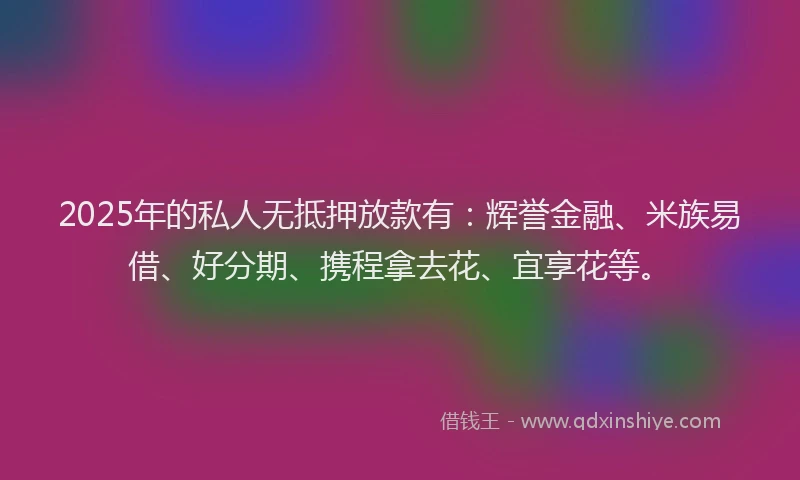 2025年的私人无抵押放款有：辉誉金融、米族易借、好分期、携程拿去花、宜享花等。