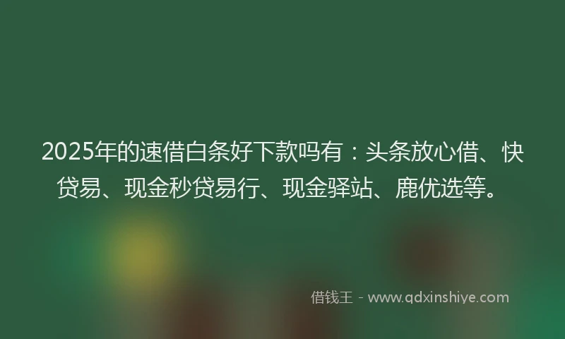 2025年的速借白条好下款吗有：头条放心借、快贷易、现金秒贷易行、现金驿站、鹿优选等。