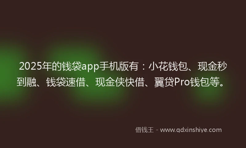 2025年的钱袋app手机版有：小花钱包、现金秒到融、钱袋速借、现金侠快借、翼贷Pro钱包等。