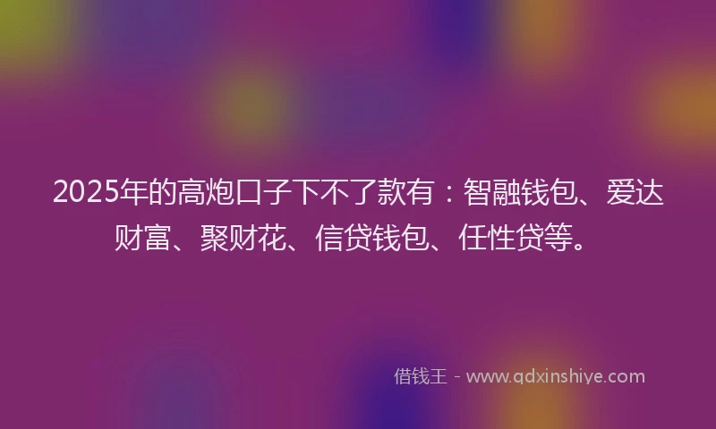 2025年的高炮口子下不了款有：智融钱包、爱达财富、聚财花、信贷钱包、任性贷等。