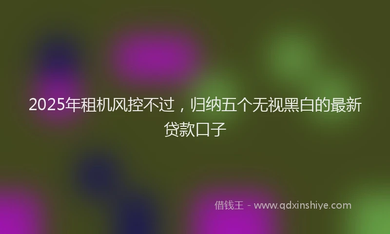 2025年租机风控不过，归纳五个无视黑白的最新贷款口子