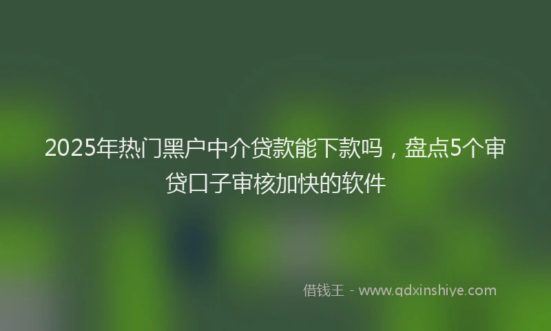2025年热门黑户中介贷款能下款吗，盘点5个审贷口子审核加快的软件