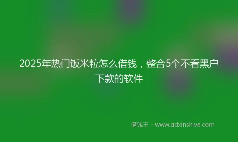 2025年热门饭米粒怎么借钱，整合5个不看黑户下款的软件
