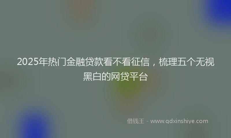 2025年热门金融贷款看不看征信，梳理五个无视黑白的网贷平台
