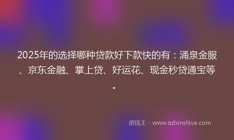 2025年的选择哪种贷款好下款快的有：涌泉金服、京东金融、掌上贷、好运花、现金秒贷通宝等。