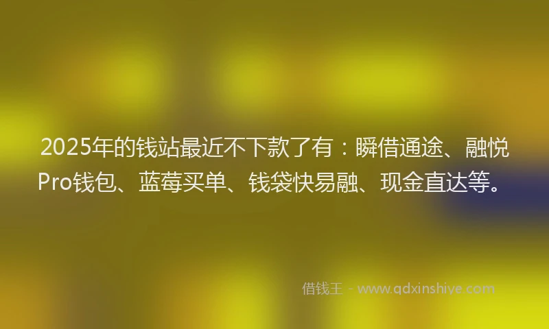 2025年的钱站最近不下款了有：瞬借通途、融悦Pro钱包、蓝莓买单、钱袋快易融、现金直达等。