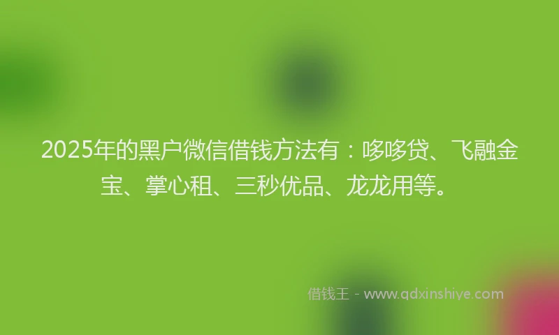 2025年的黑户微信借钱方法有：哆哆贷、飞融金宝、掌心租、三秒优品、龙龙用等。