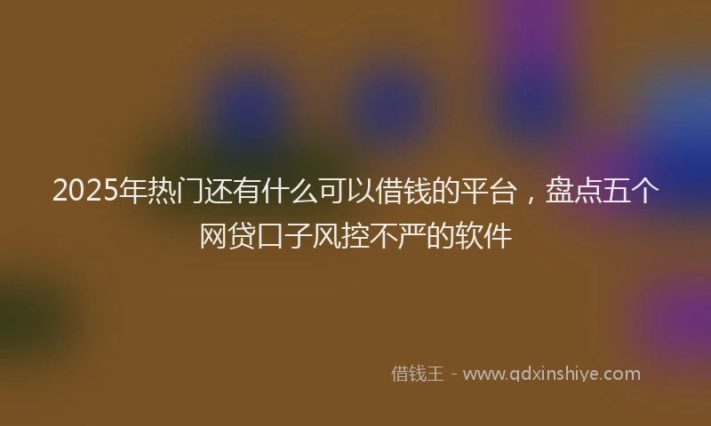 2025年热门还有什么可以借钱的平台，盘点五个网贷口子风控不严的软件