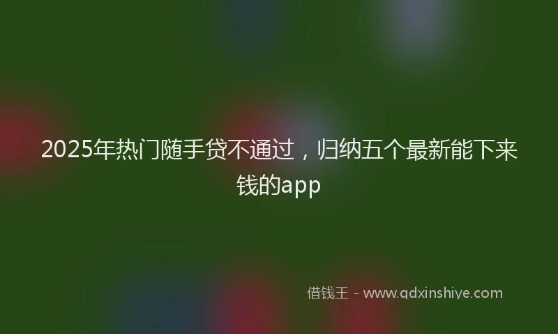 2025年热门随手贷不通过，归纳五个最新能下来钱的app