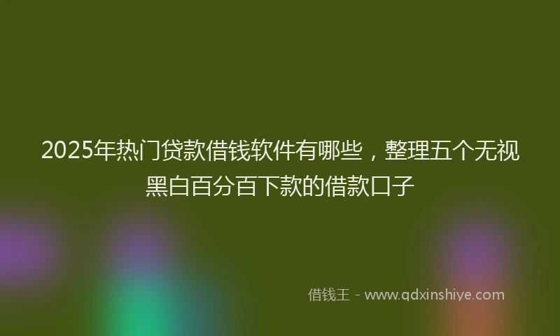 2025年热门贷款借钱软件有哪些，整理五个无视黑白百分百下款的借款口子