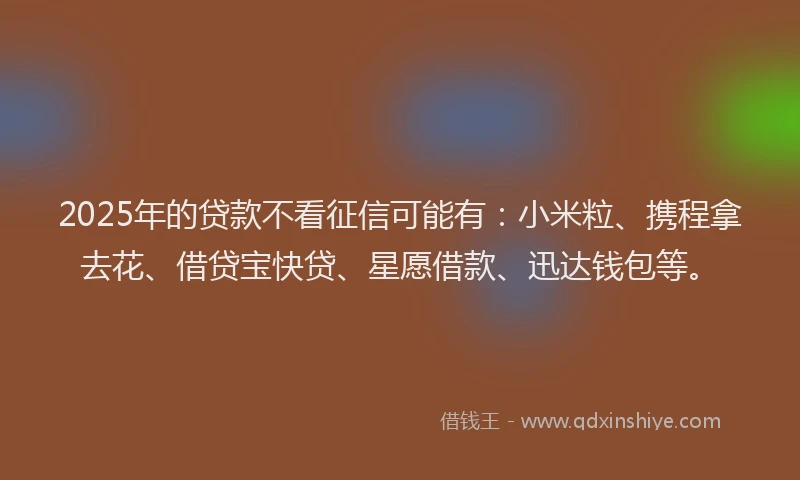 2025年的贷款不看征信可能有：小米粒、携程拿去花、借贷宝快贷、星愿借款、迅达钱包等。