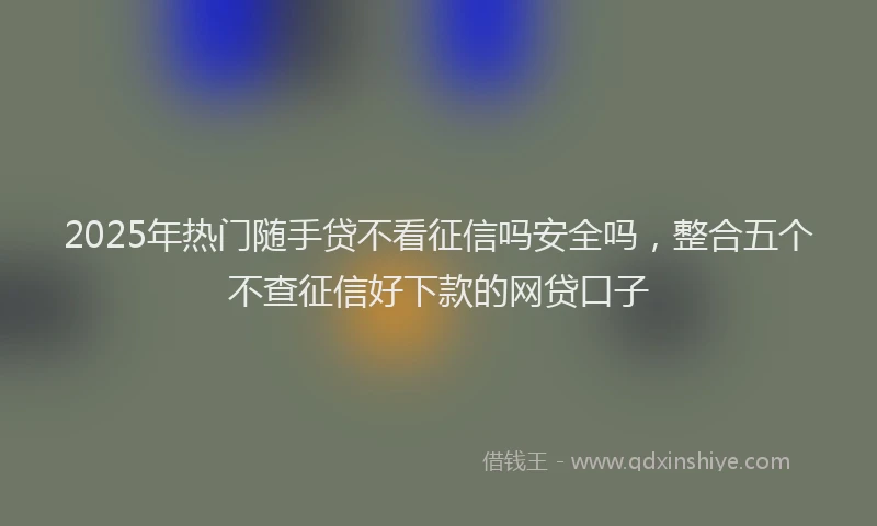2025年热门随手贷不看征信吗安全吗，整合五个不查征信好下款的网贷口子