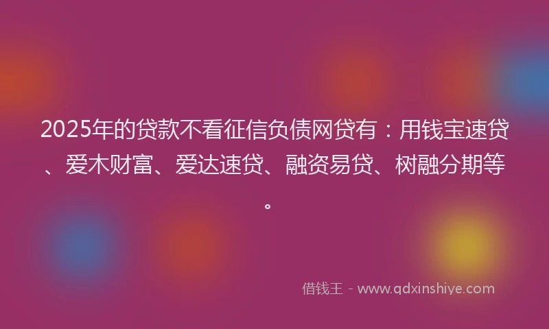 2025年的贷款不看征信负债网贷有：用钱宝速贷、爱木财富、爱达速贷、融资易贷、树融分期等。