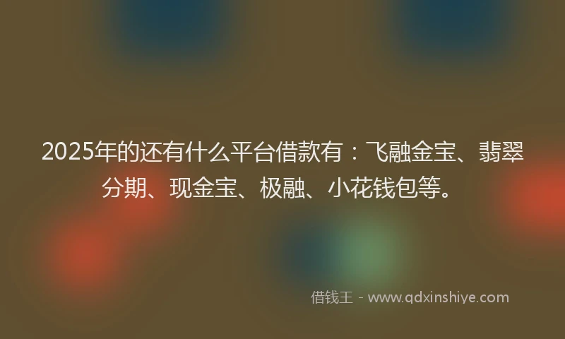 2025年的还有什么平台借款有：飞融金宝、翡翠分期、现金宝、极融、小花钱包等。