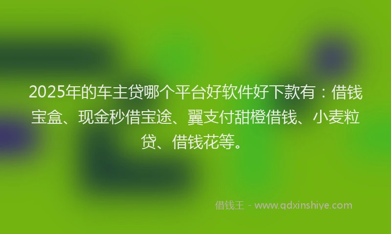 2025年的车主贷哪个平台好软件好下款有：借钱宝盒、现金秒借宝途、翼支付甜橙借钱、小麦粒贷、借钱花等。