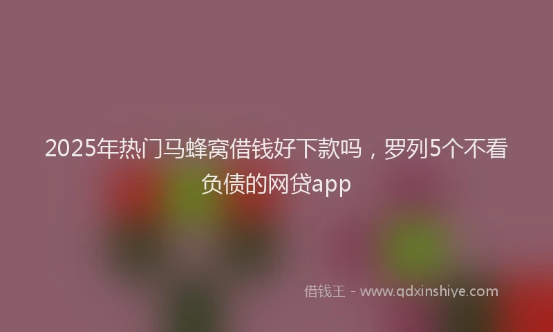 2025年热门马蜂窝借钱好下款吗，罗列5个不看负债的网贷app