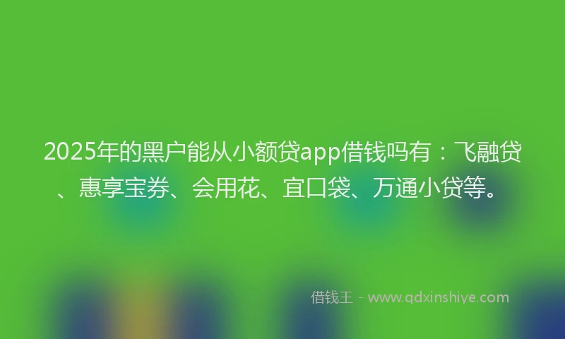 2025年的黑户能从小额贷app借钱吗有：飞融贷、惠享宝券、会用花、宜口袋、万通小贷等。
