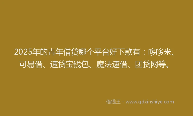 2025年的青年借贷哪个平台好下款有：哆哆米、可易借、速贷宝钱包、魔法速借、团贷网等。