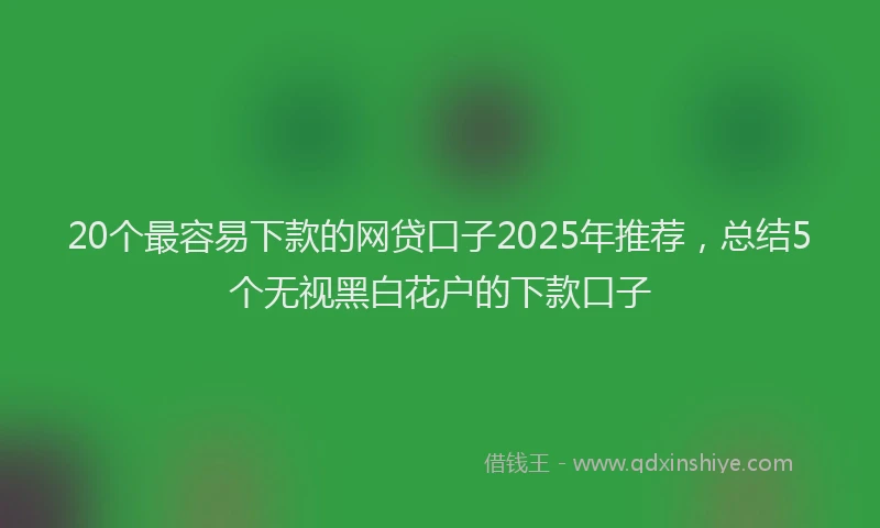 20个最容易下款的网贷口子2025年推荐，总结5个无视黑白花户的下款口子